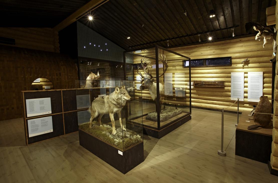 Luontopirtti Mesikän näyttely